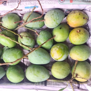 হাড়িভাঙ্গা ২২ কেজি ক্যারেট