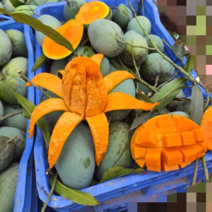 হিমসাগর ১১ কেজি ক্যারেট